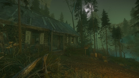 The Cursed Forest (PC) - Steam Key - GLOBAL - 14