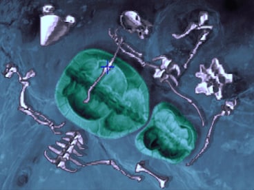 The Dig Steam Gift GLOBAL - 6