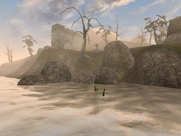 The Elder Scrolls III: Morrowind GOTY Edition (PC) - GOG.COM Key - GLOBAL - 11