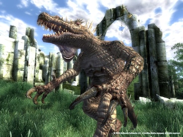 The Elder Scrolls IV: Oblivion Game of the Year Edition Deluxe (PC) - Steam Key - LATAM - 33