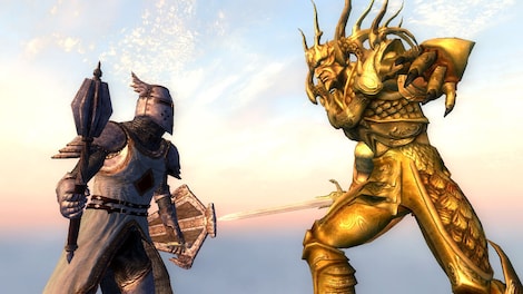 The Elder Scrolls IV: Oblivion Game of the Year Edition Deluxe (PC) - Steam Key - LATAM - 26
