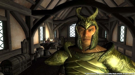 The Elder Scrolls IV: Oblivion Game of the Year Edition Deluxe (PC) - Steam Key - LATAM - 22