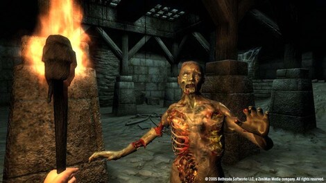 The Elder Scrolls IV: Oblivion Game of the Year Edition Deluxe Steam Gift EUROPE - 31