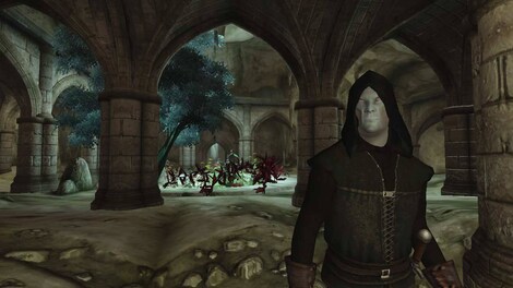 The Elder Scrolls IV: Oblivion Game of the Year Edition Deluxe Steam Gift EUROPE - 30