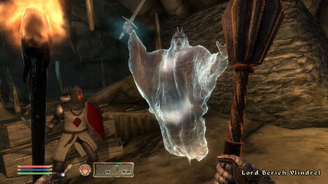 The Elder Scrolls IV: Oblivion Game of the Year Edition Deluxe Steam Gift EUROPE - 11