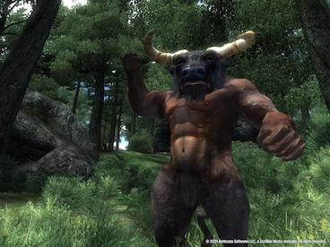 The Elder Scrolls IV: Oblivion Game of the Year Edition Deluxe Steam Gift EUROPE - 7