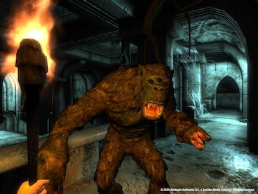 The Elder Scrolls IV: Oblivion Game of the Year Edition Deluxe Steam Gift EUROPE - 2