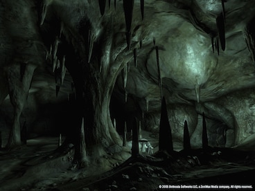 The Elder Scrolls IV: Oblivion GOTY (PC) - Steam Gift - CIS - 10