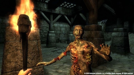 The Elder Scrolls IV: Oblivion GOTY (PC) - Steam Key - RU/CIS - 27
