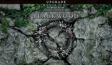 The Elder Scrolls Online: Blackwood UPGRADE | Collector's Edition (PC) - Steam Key - CIS - 2