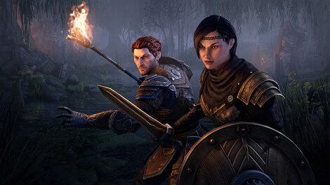The Elder Scrolls Online: Blackwood UPGRADE | Collector's Edition (PC) - Steam Key - CIS - 4