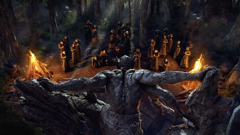 The Elder Scrolls Online Collection: Blackwood | Collector's Edition (PC) - Steam Key - RU/CIS - 6