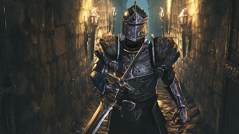 The Elder Scrolls Online Collection: High Isle (PC) - Steam Key - CIS - 6