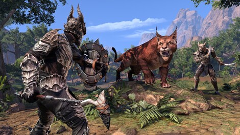 The Elder Scrolls Online - Elsweyr Upgrade Digital Collector's Edition - Xbox Live Xbox One - Key EUROPE - 4