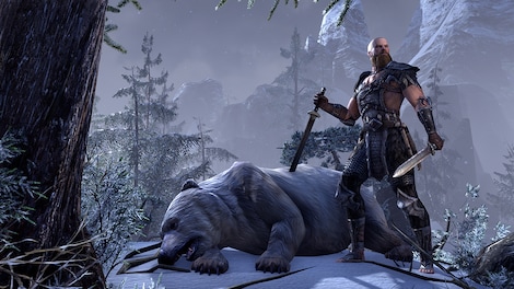 The Elder Scrolls Online | Gold Edition (PC) - Steam Key - CIS - 7