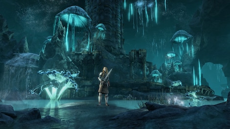 The Elder Scrolls Online - Greymoor | Digital Collector’s Edition Upgrade - TESO Key - GLOBAL - 3