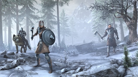 The Elder Scrolls Online - Greymoor | Digital Collector’s Edition Upgrade - TESO Key - GLOBAL - 4