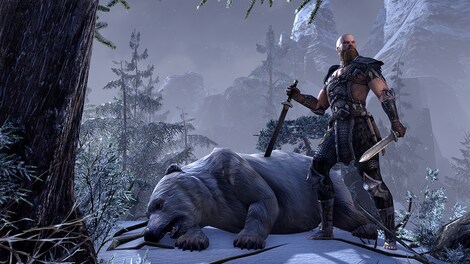 The Elder Scrolls Online | Imperial Edition (PC) - Steam Gift - GLOBAL - 2