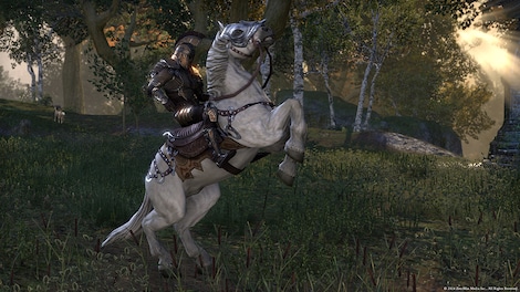 The Elder Scrolls Online - Imperial Edition Upgrade Steam Gift GLOBAL - 12