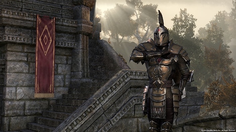 The Elder Scrolls Online - Imperial Edition Upgrade Steam Gift GLOBAL - 7