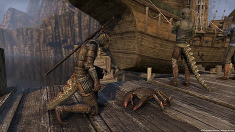 The Elder Scrolls Online - Imperial Edition Upgrade Steam Gift GLOBAL - 9