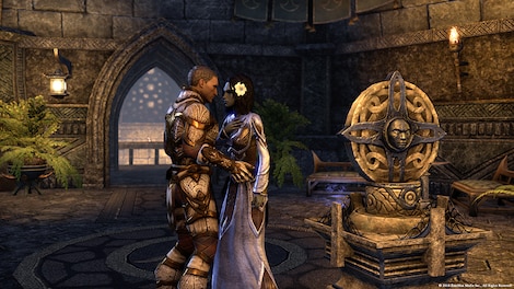 The Elder Scrolls Online - Imperial Edition Upgrade Steam Gift GLOBAL - 6