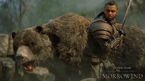 The Elder Scrolls Online + Morrowind Upgrade (PC) - TESO Key - GLOBAL - 2