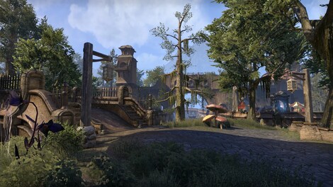 The Elder Scrolls Online - Morrowind Upgrade PS4 PSN Key EUROPE - 5