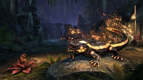 The Elder Scrolls Online - Newcomer Pack (PC) - Steam Key - CIS - 0