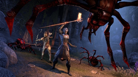 The Elder Scrolls Online +  Summerset Upgrade Digital Collector's Edition (PC) - TESO Key - GLOBAL - 6