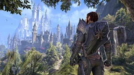 The Elder Scrolls Online +  Summerset Upgrade Digital Collector's Edition (PC) - TESO Key - GLOBAL - 9