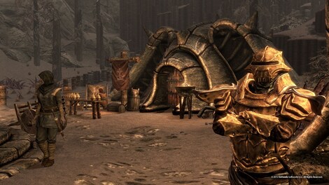 The Elder Scrolls V: Skyrim - Dragonborn Steam Gift GLOBAL - 6