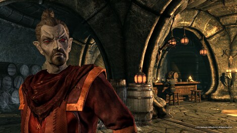 The Elder Scrolls V: Skyrim - Dragonborn Steam Key POLAND - 20