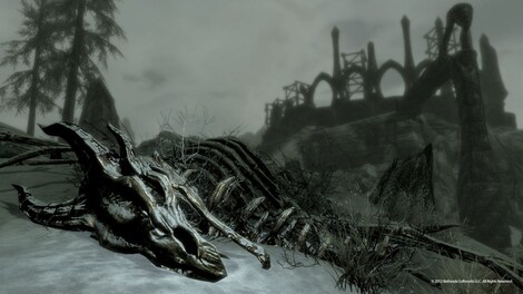 The Elder Scrolls V: Skyrim - Dragonborn Steam Key POLAND - 10