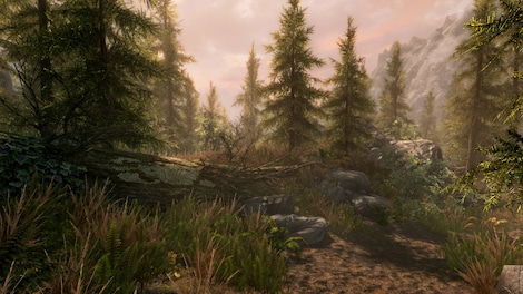 The Elder Scrolls V: Skyrim - Legendary Edition Steam Key CIS - 4