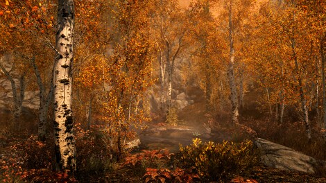 The Elder Scrolls V: Skyrim - Legendary Edition Steam Key EUROPE - 10
