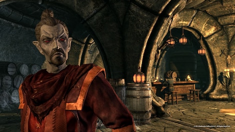 The Elder Scrolls V: Skyrim - Pack (PC) - Steam Key - GLOBAL - 19