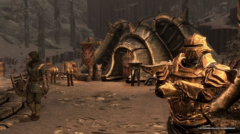 The Elder Scrolls V: Skyrim - Pack (PC) - Steam Key - GLOBAL - 13