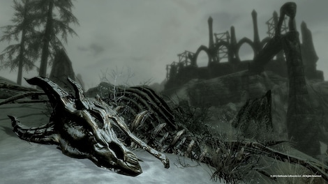The Elder Scrolls V: Skyrim - Pack (PC) - Steam Key - GLOBAL - 11