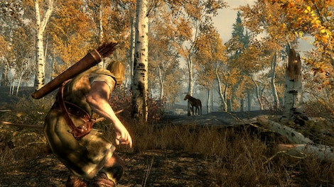 The Elder Scrolls V: Skyrim (PC) - Steam Gift - EASTERN ASIA - 12