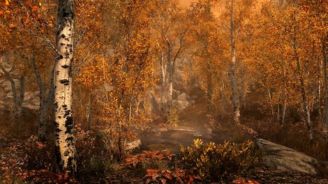The Elder Scrolls V: Skyrim Special Edition (PC) - GOG.COM Key - GLOBAL - 4