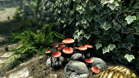 The Elder Scrolls V: Skyrim Special Edition (PC) - Steam Gift - NORTH AMERICA - 9