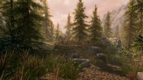 The Elder Scrolls V: Skyrim Special Edition (PC) - Steam Key - ROW - 6