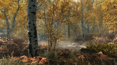 The Elder Scrolls V: Skyrim Special Edition (PC) - Steam Key - ROW - 5