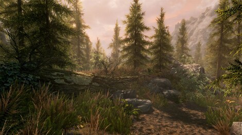 The Elder Scrolls V: Skyrim Special Edition (Xbox Series X/S) - Xbox Live Key - ROW - 6