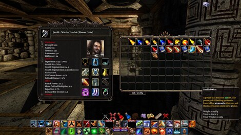 The Fall of the Dungeon Guardians Steam Gift GLOBAL - 8