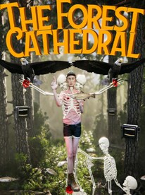 The Forest Cathedral (PC) - Steam Key - GLOBAL - 1