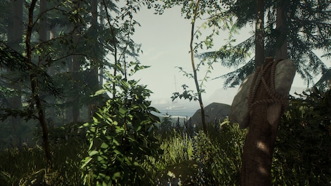 The Forest (PC) - Steam Gift - RUSSIA - 6