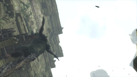 The Last Guardian PSN PS4 Key NORTH AMERICA - 2