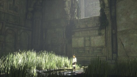 The Last Guardian PSN PS4 Key NORTH AMERICA - 3